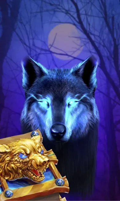 Book Of The Night Wolf